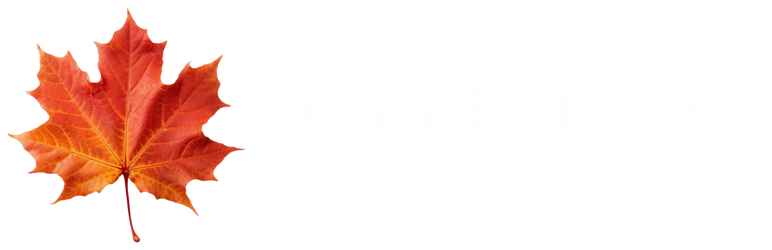 Logotipo Quinta dos Plátanos