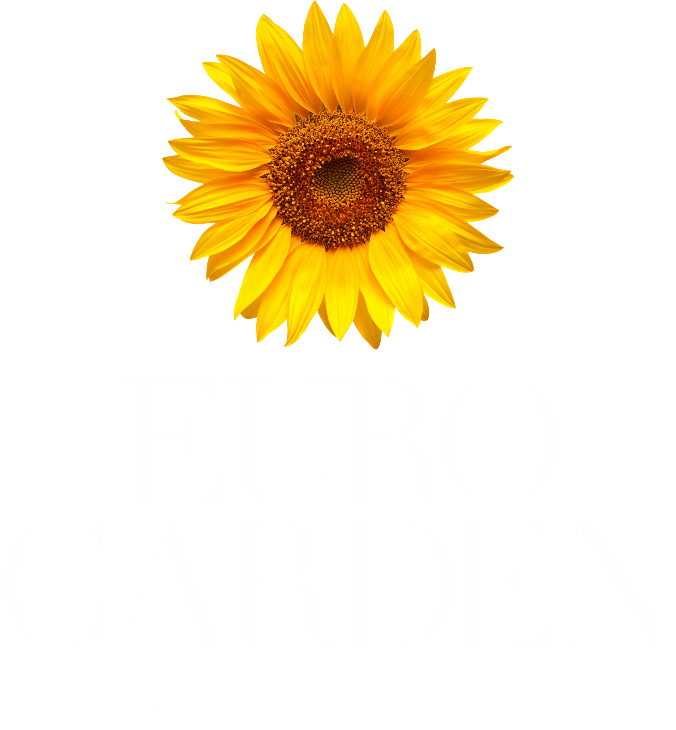 Imagem de lotes disponíveis para venda